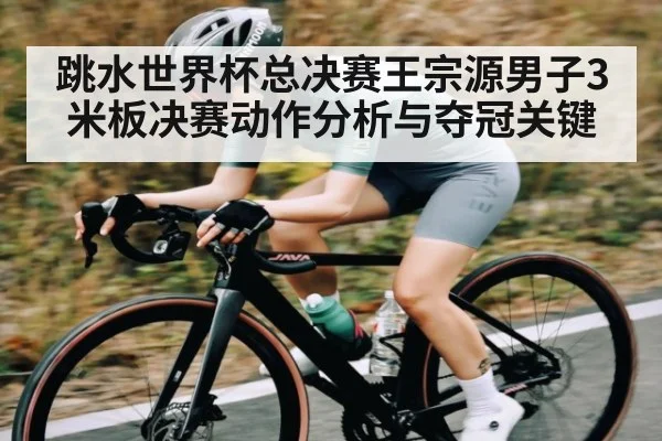 跳水世界杯总决赛王宗源男子3米板决赛动作分析与夺冠关键